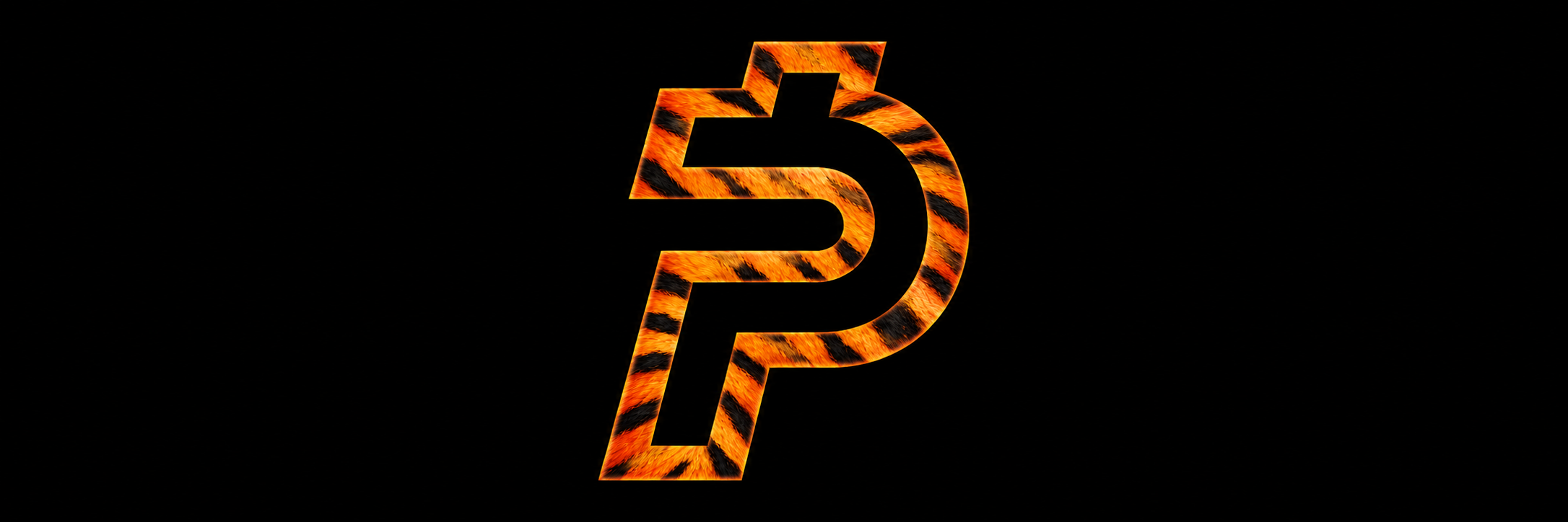 Wide TIGROPAID black and orange banner